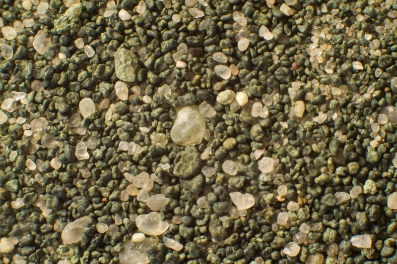 Nederland, Groningen, Sellingerbeetse